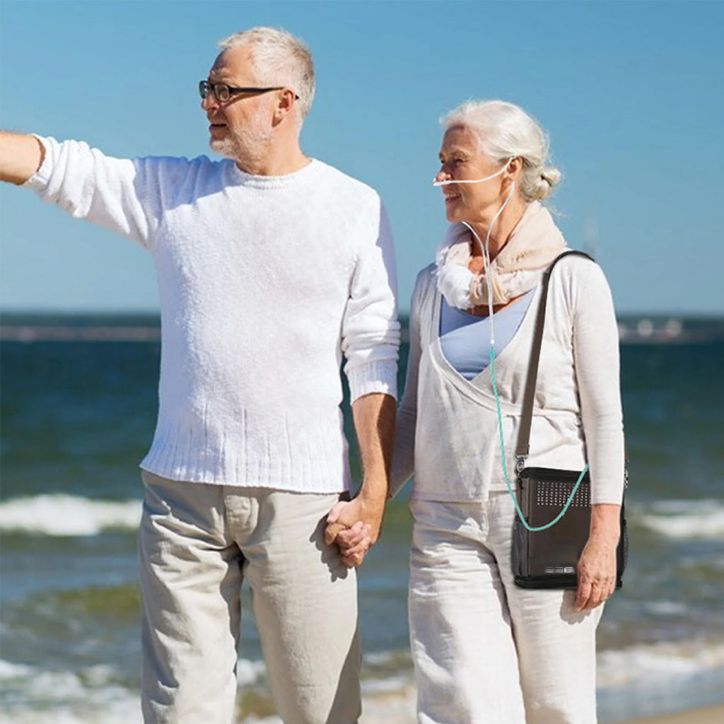 1L- 6L Portable Continuous Flow Lightweight Mini Oxygen Concentrator With 4 Hours Battery & Free Carry Bag